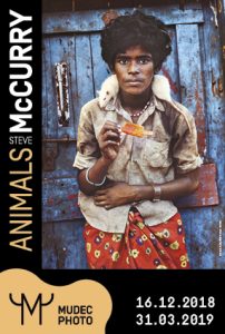 Steve McCurry. Animals - Poster
