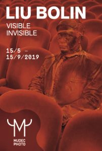 Liu Bolin. Visible Invisible - Poster