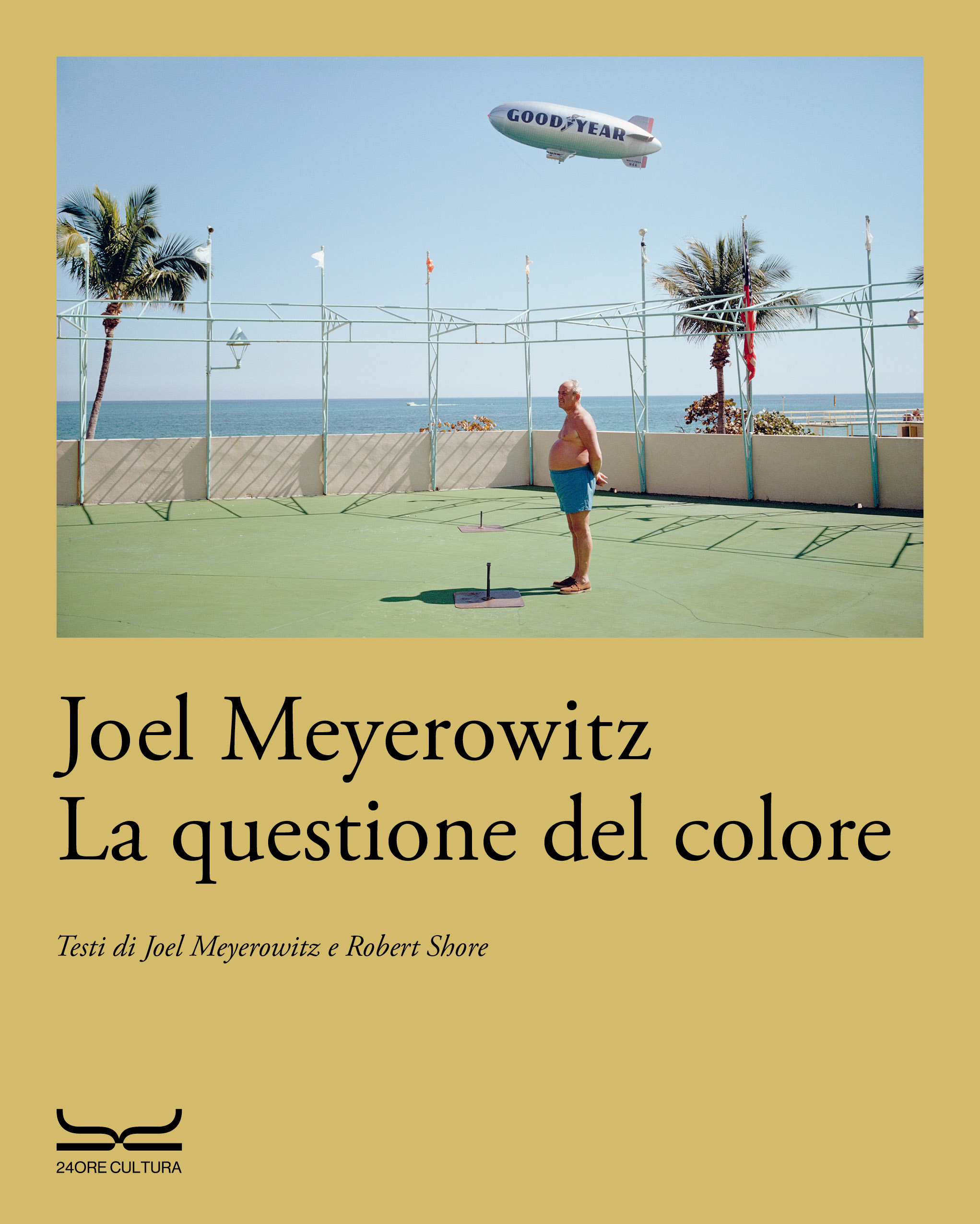 La questione del colore - Copertina