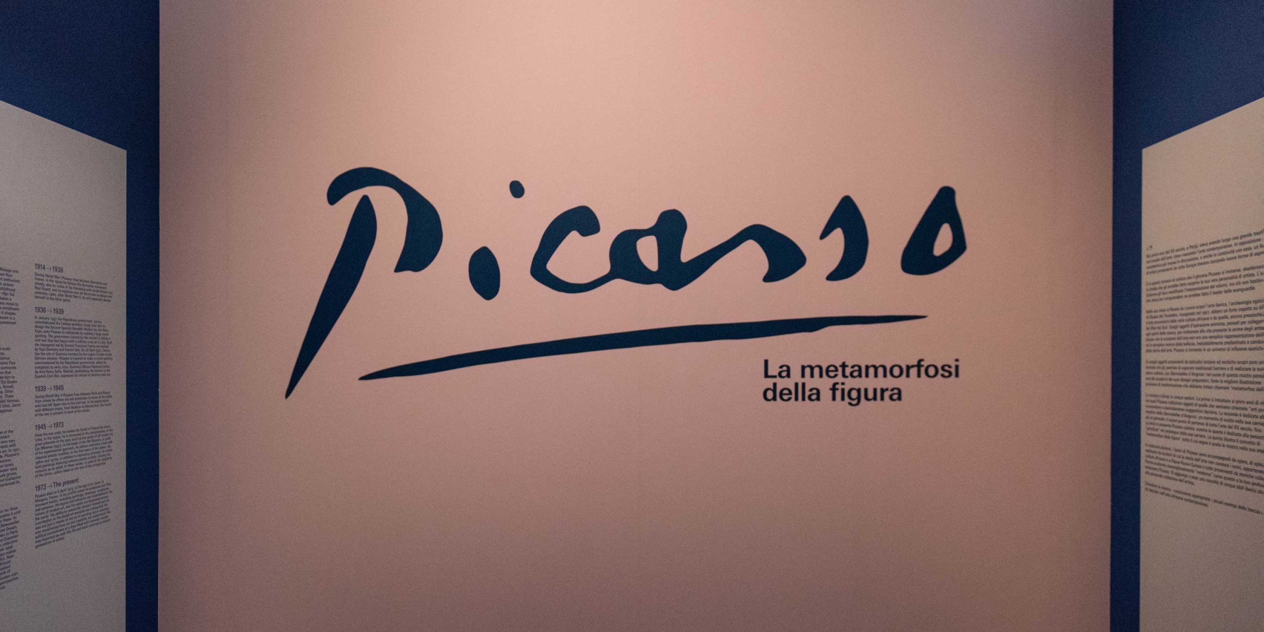 Picasso. La metamorfosi della figura - Immagine in evidenza