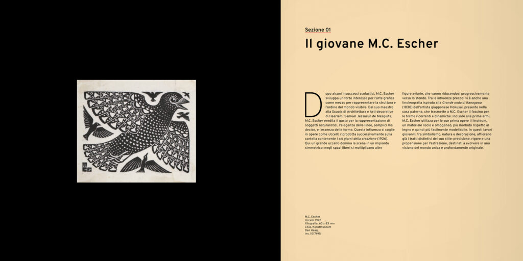Slide 5